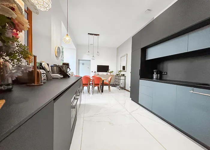 Grand T4 Luxe, Spa, Cheminee Baby-foot, Jardin Aix-les-Bains